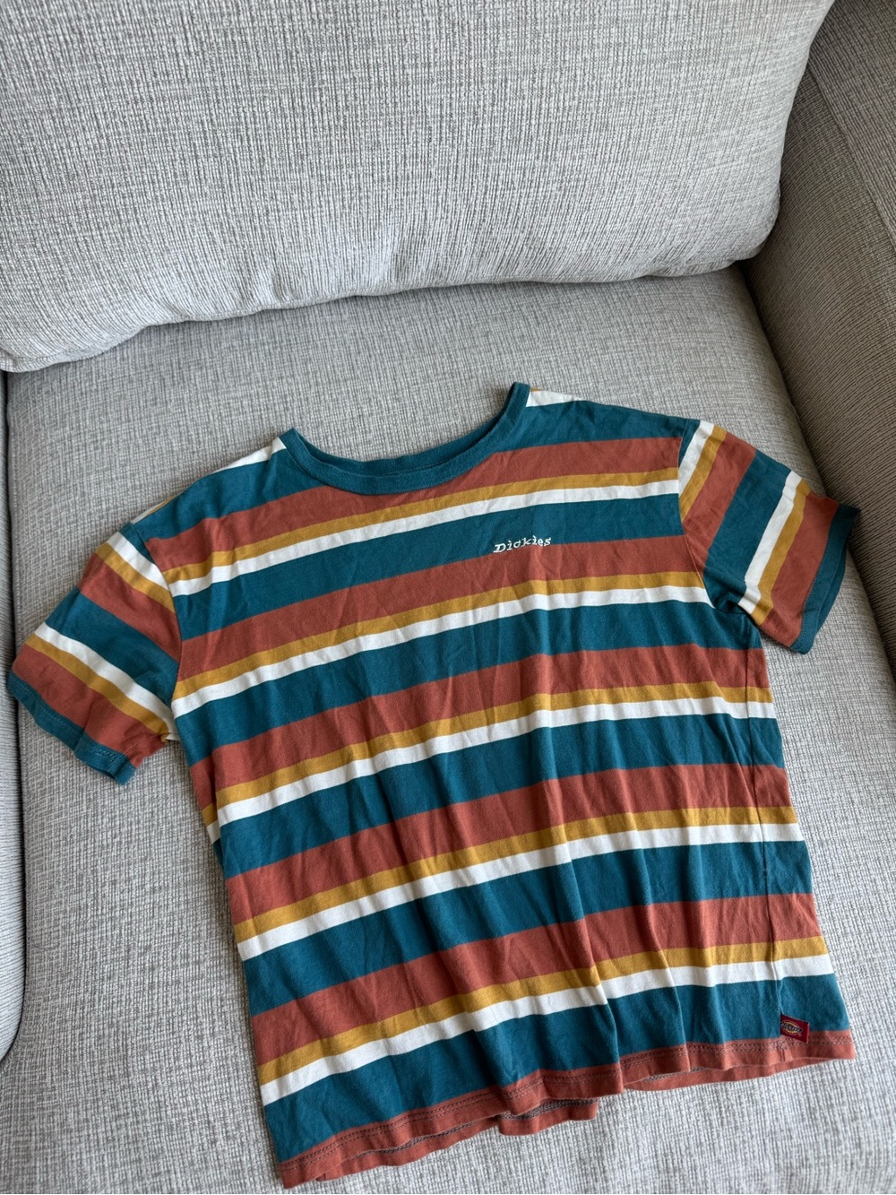 Dickies Multicolor Striped Vintage Crew Tee